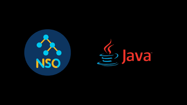 My struggles with deploying Cisco NSO on CWS